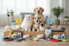 Pet  Supplies